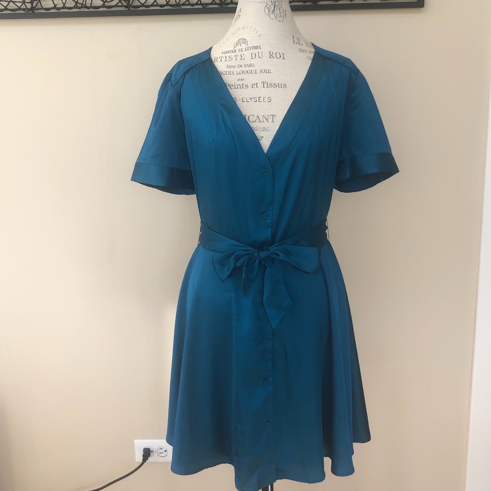 NWT Satin Shirt Mini Dress